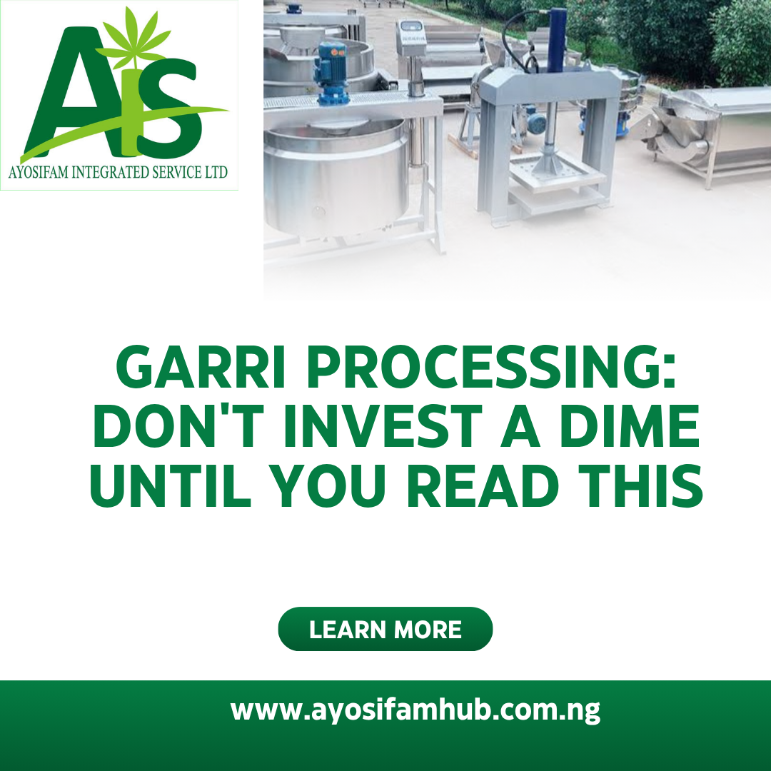 Garri Processing Don’t Invest a Dime Until You Read This AyosifamHub
