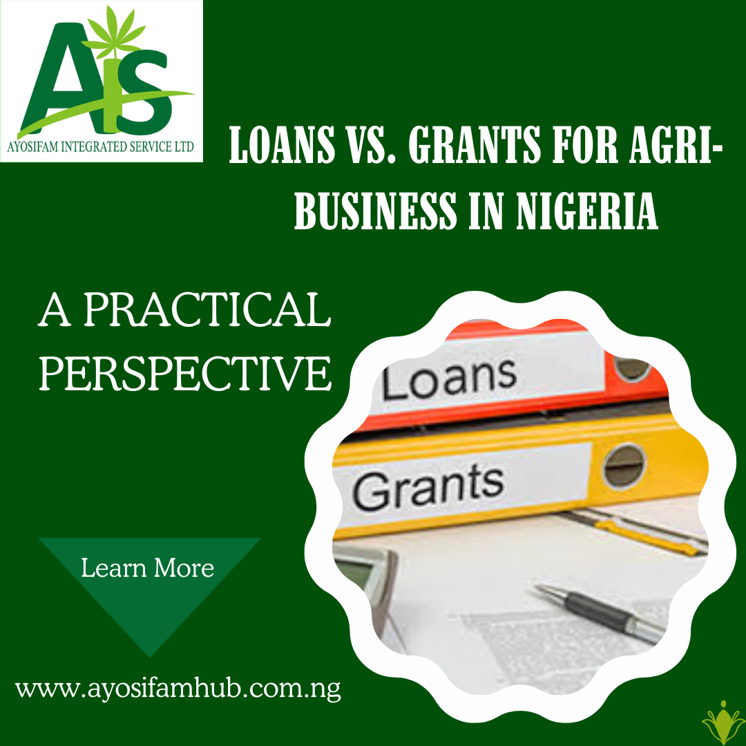 Loans vs. Grants for Agri-Business in Nigeria: A Practical Perspective