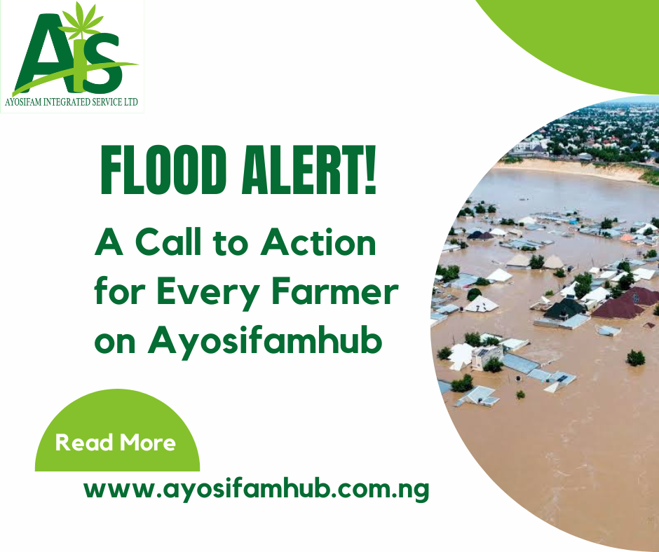 Flood Alert! A Call to Action for Every Farmer on Ayosifamhub
