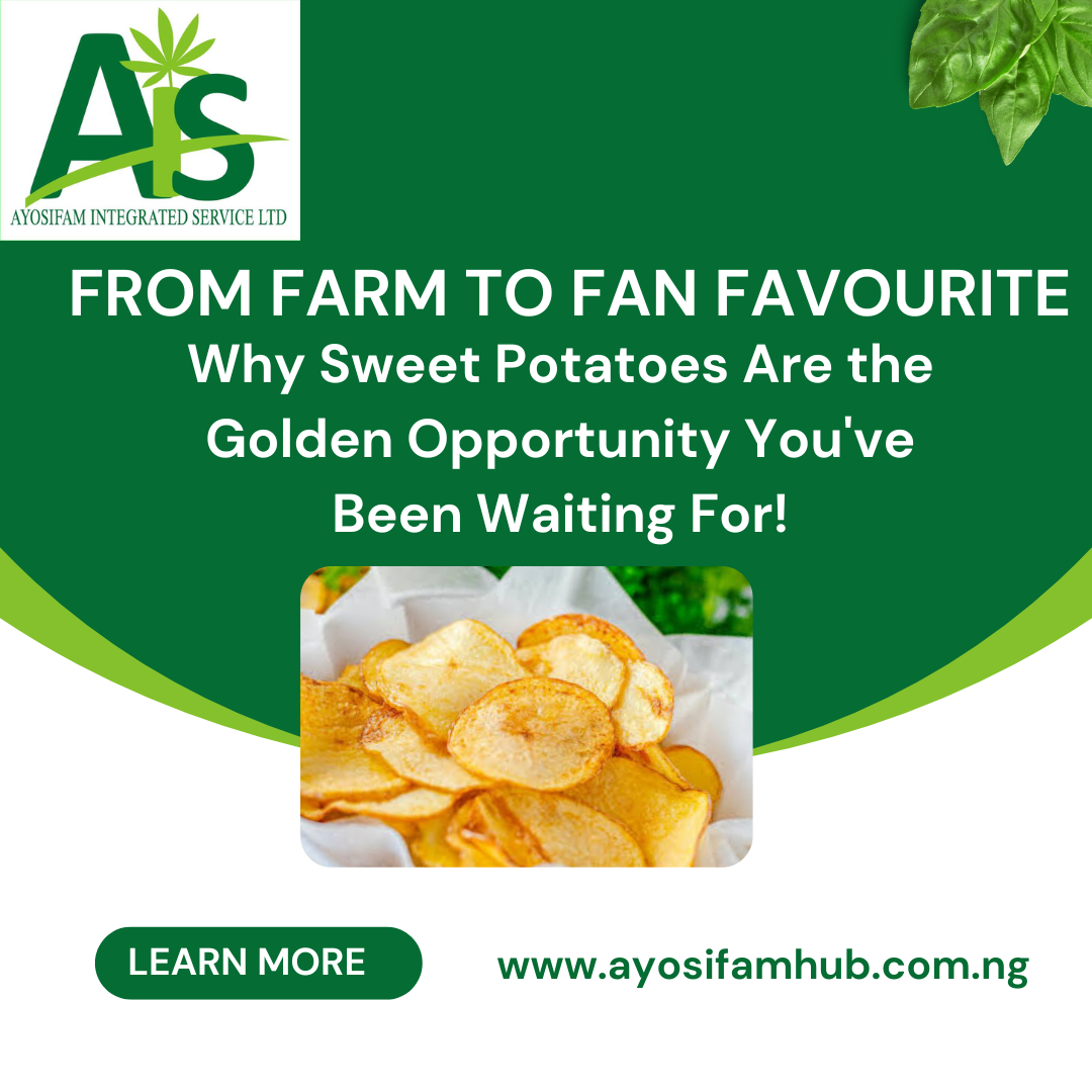 From Farm to Fan Favourite: Why Sweet Potatoes are the Golden Opportunity You’ve Been Waiting For!