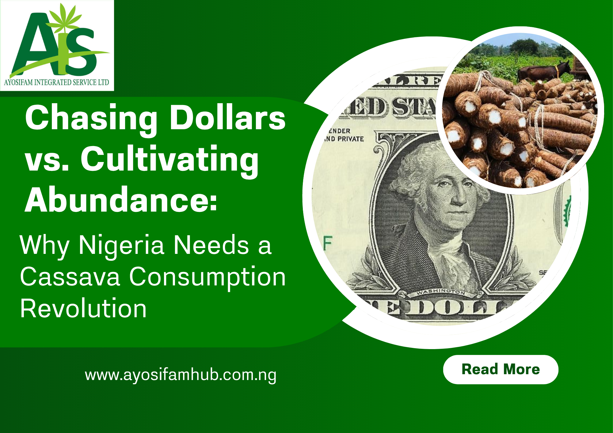 Chasing Dollars vs. Cultivating Abundance: Why Nigeria Needs a Cassava Consumption Revolution