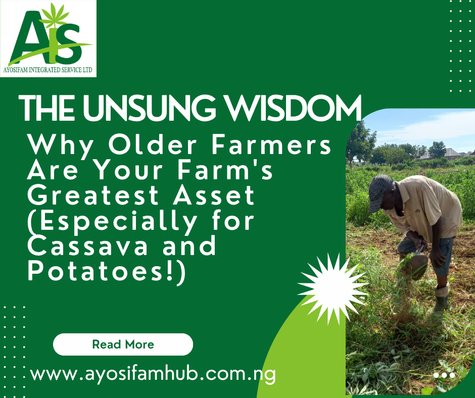 The Unsung Wisdom: Why Older Farmers Are Your Farm’s Greatest Asset (Especially for Cassava and Potatoes!)