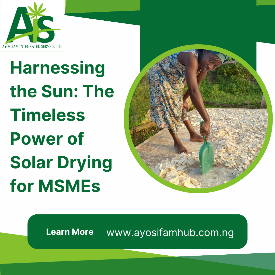 Harnessing the Sun: The Timeless Power of Solar Drying for MSMEs