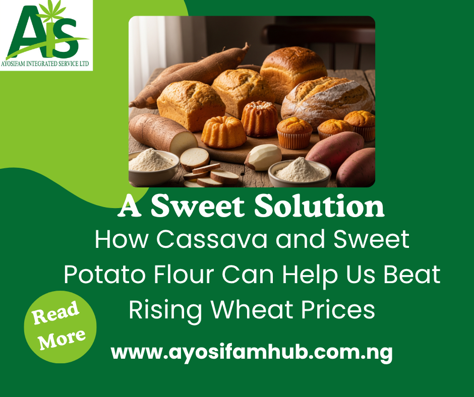 A Sweet Solution: How Cassava and Sweet Potato Flour Can Help Us Beat Rising Wheat Prices