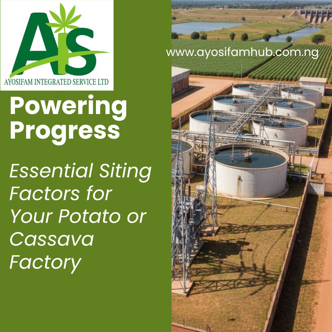 🥔 Powering Progress: Essential Siting Factors for Your Potato or Cassava Factory