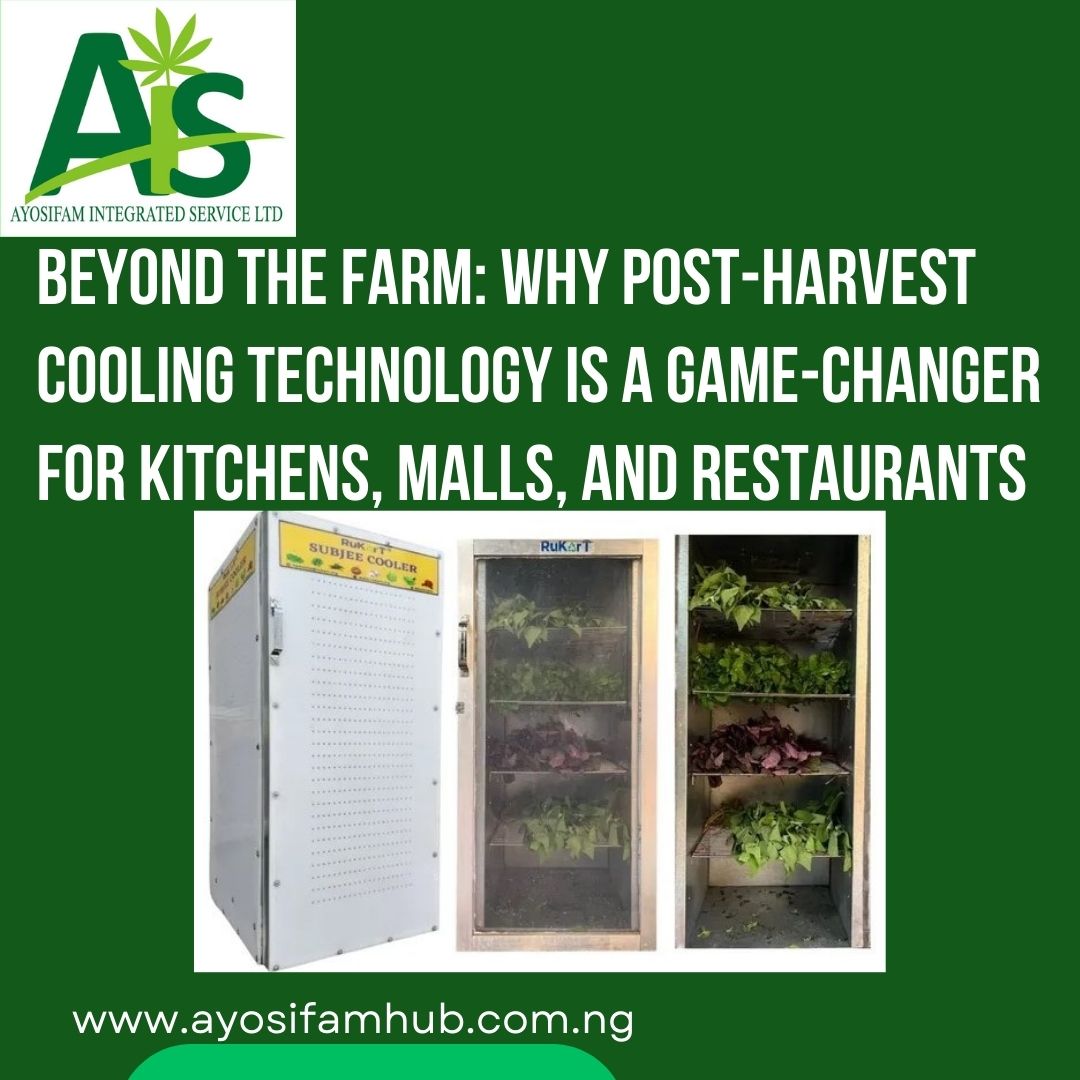 cooling system potato