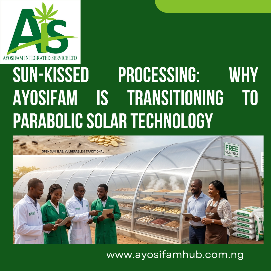 Ayosifam Parabolic design