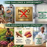 Potato vs cassava