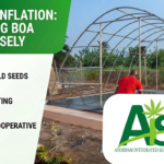beating inflation