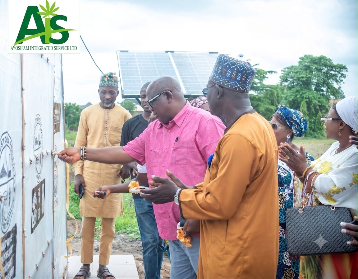 Defying the Rain: How Our Parabolic Solar Dryer is Saving the Harvest for Ayosifam, Farmers, and the Community