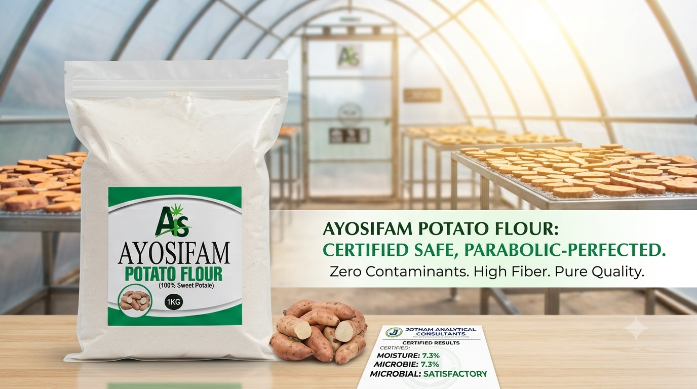 From Certified Excellence to Unstoppable Innovation: How Ayosifam is Revolutionizing Food Safety for Your Family