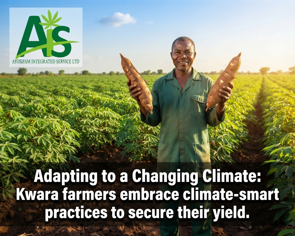 Adapting to a Changing Climate: What Kwara Farmers Need to Know About KWACReSAL