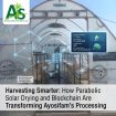 Harvesting Smarter: How Parabolic Solar Drying and Blockchain Are Transforming Ayosifam’s Processing