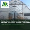 Rising Above the Rains: How Ayosifam’s Resilient Processing Protects Livelihoods and the Planet