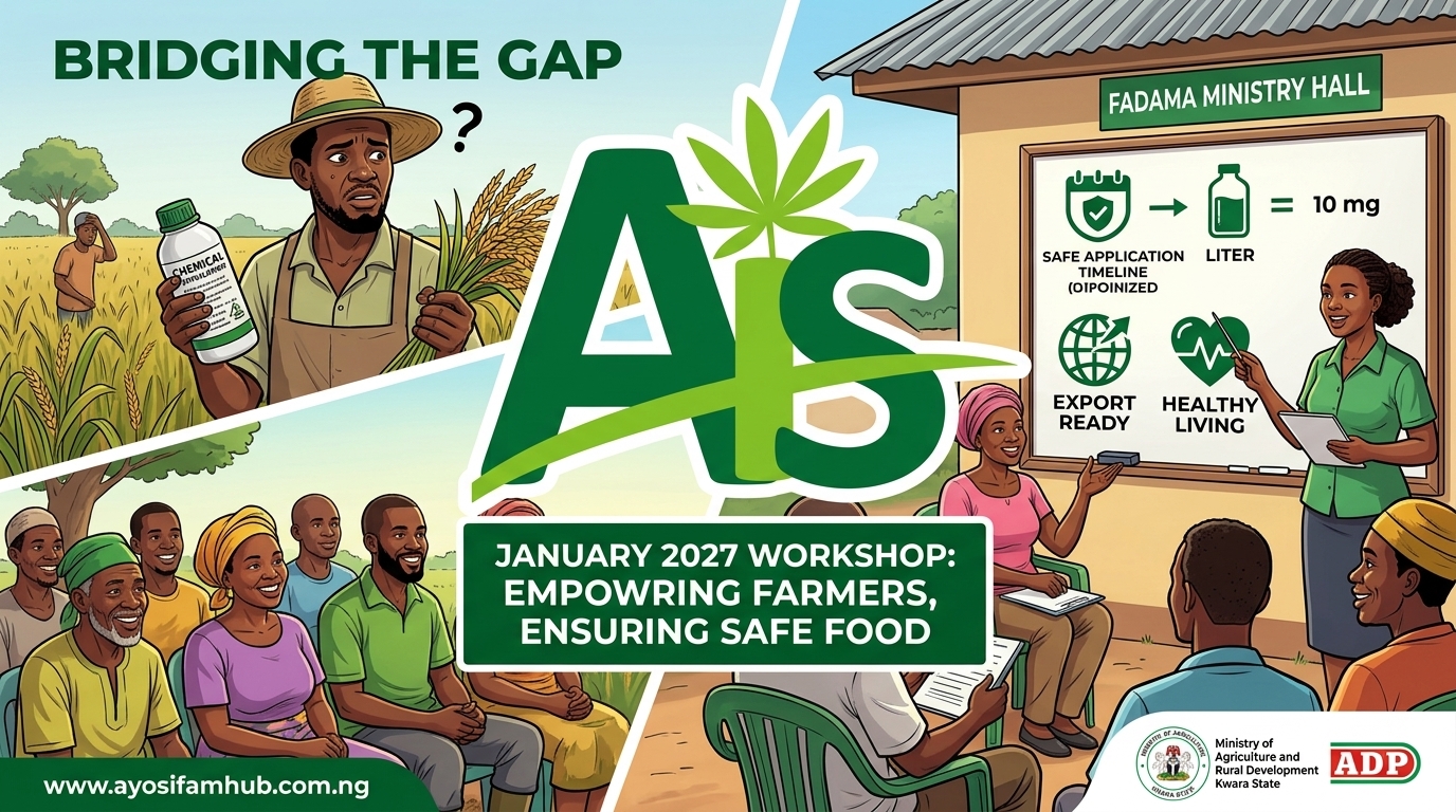 Bridging the Gap: Why Ayosifam is Taking Farmer Education from "Farm to Fork"